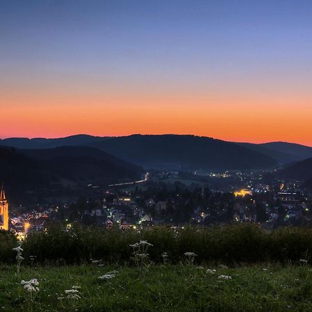 Drei Tannen - Wohnung 09 - Apartmenthaus, Titisee, Feldberg Esterno foto