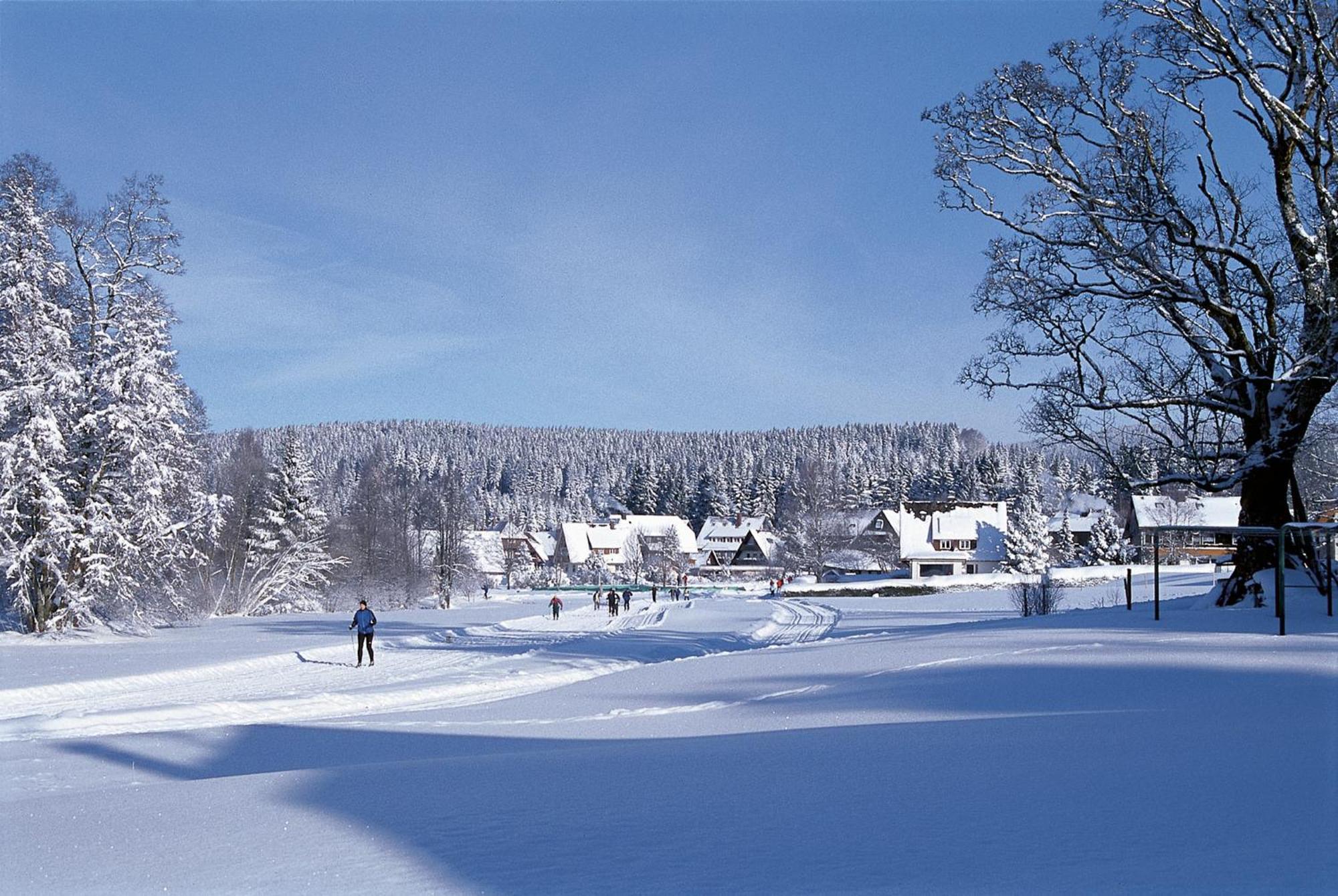 Drei Tannen - Wohnung 09 - Apartmenthaus, Titisee, Feldberg Esterno foto