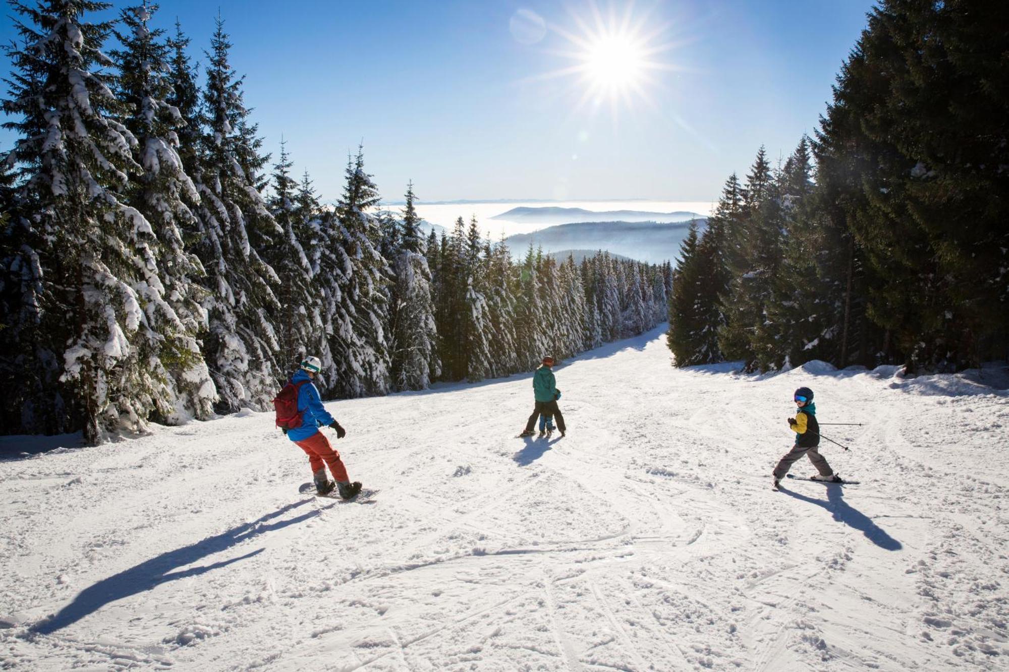Drei Tannen - Wohnung 09 - Apartmenthaus, Titisee, Feldberg Esterno foto
