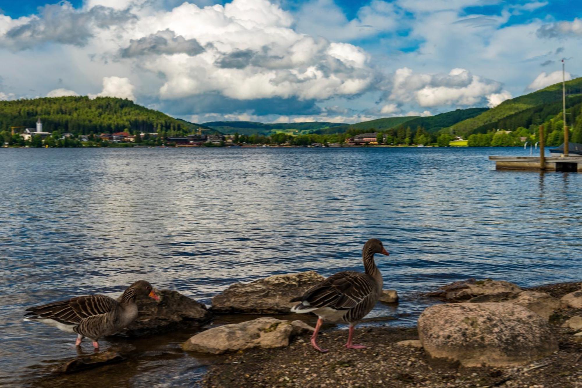 Drei Tannen - Wohnung 09 - Apartmenthaus, Titisee, Feldberg Esterno foto