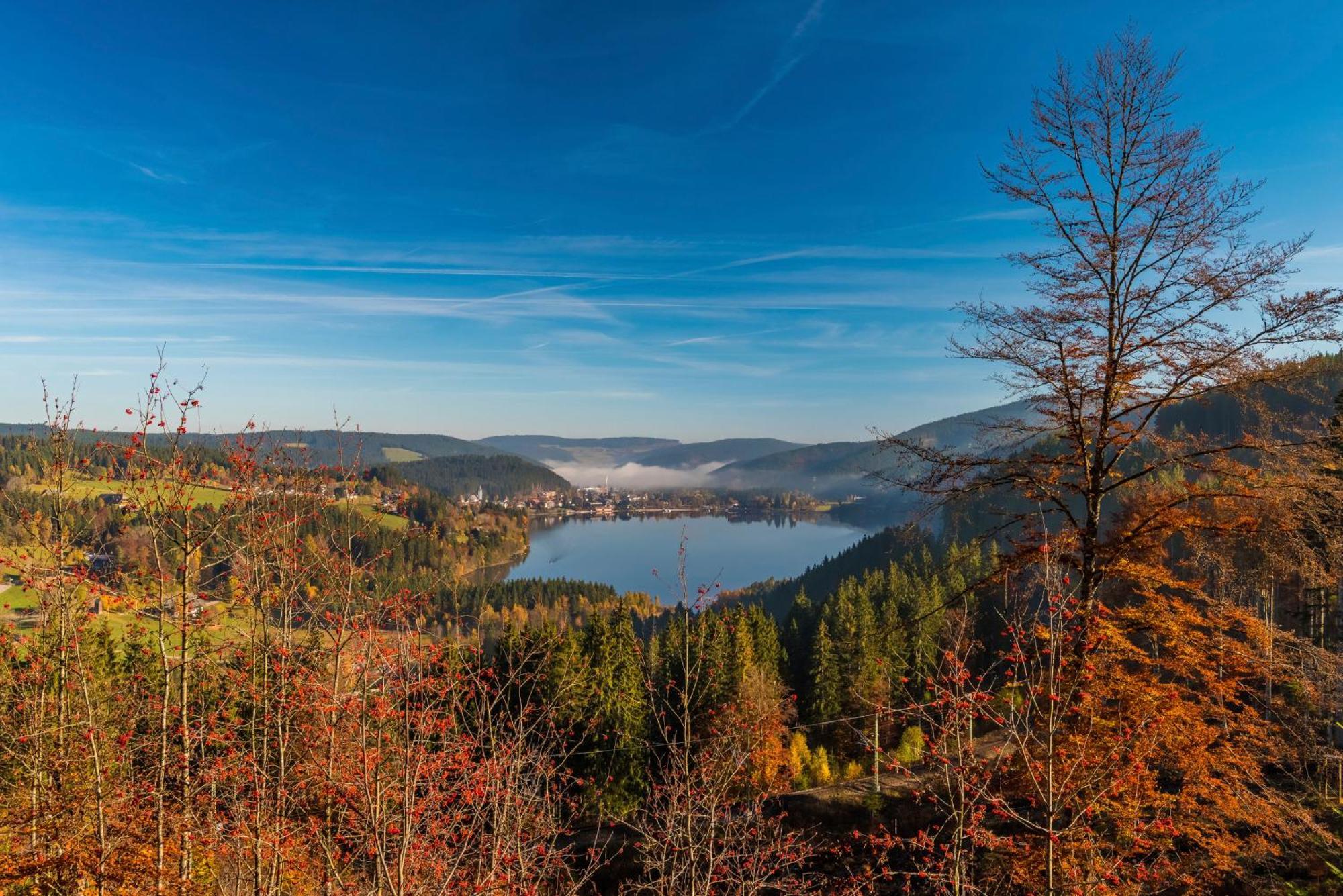 Drei Tannen - Wohnung 09 - Apartmenthaus, Titisee, Feldberg Esterno foto